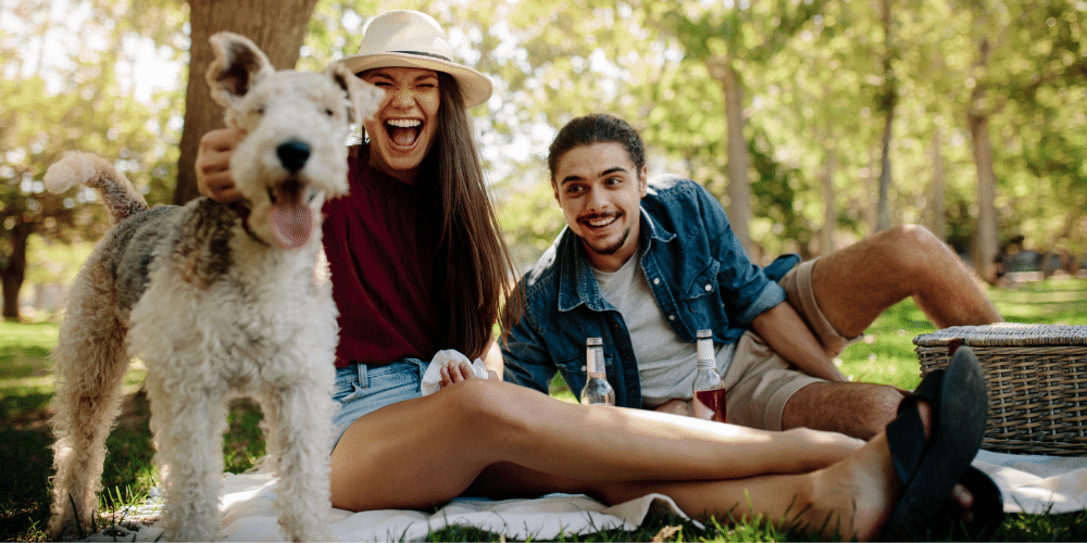 Altınpark, Altındağ